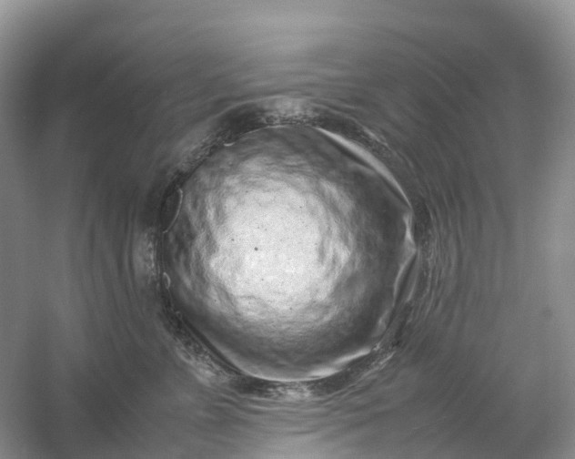 X0000061110715200512022125