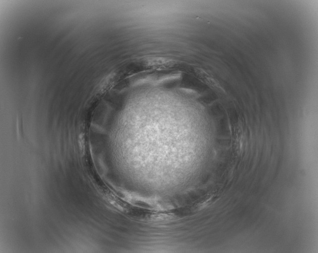 X0000061110716200512022125