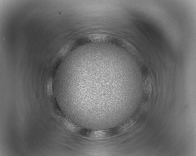 X0000061110717200512022125