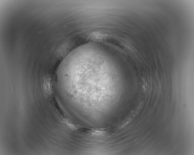 X0000061110718200512022125