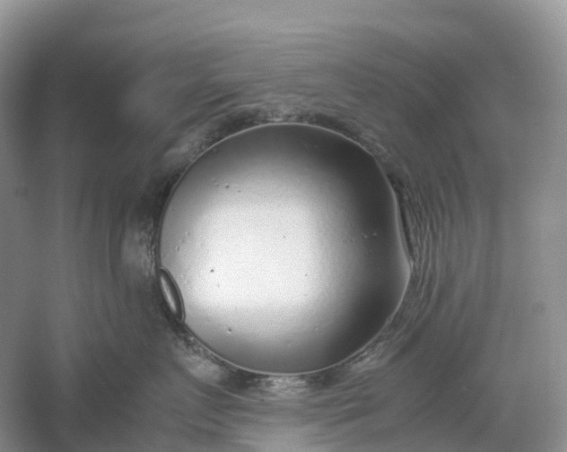 X0000061110719200512022125