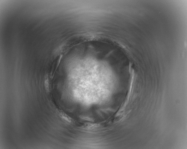 X0000061110720200512022125