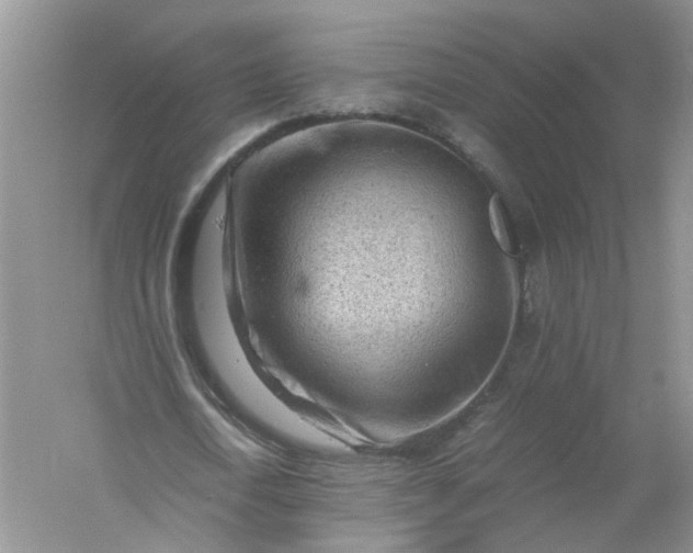 X0000061110722200512022125