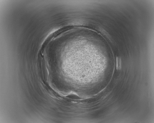 X0000061110723200512022125