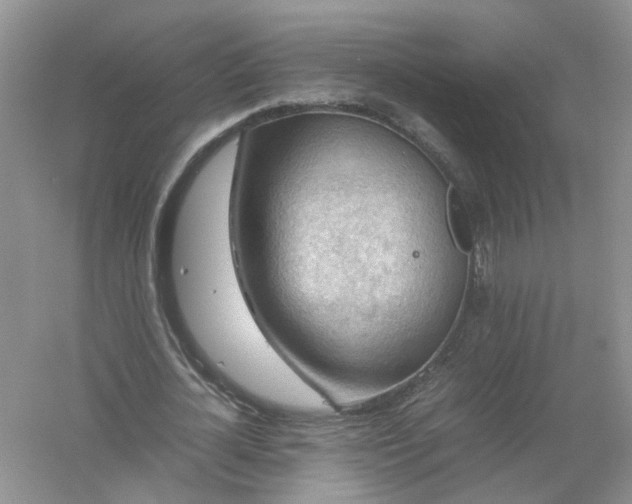 X0000061110724200512022125