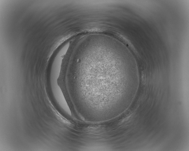 X0000061110725200512022125