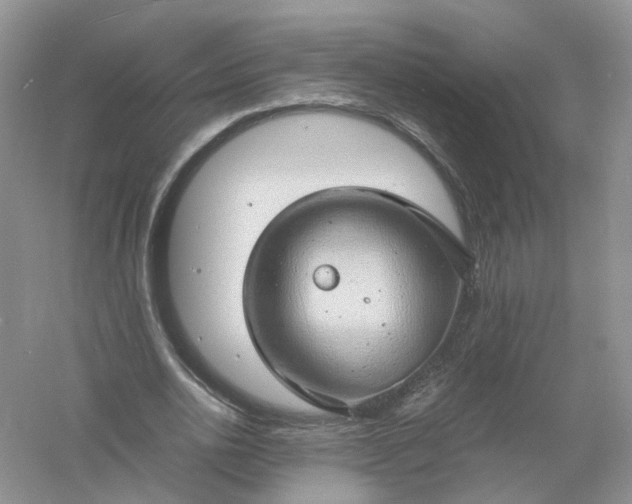 X0000061110726200512022125