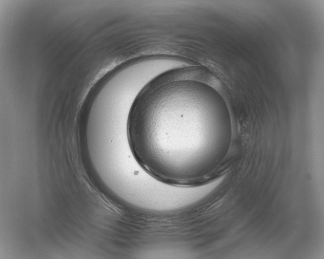 X0000061110727200512022125