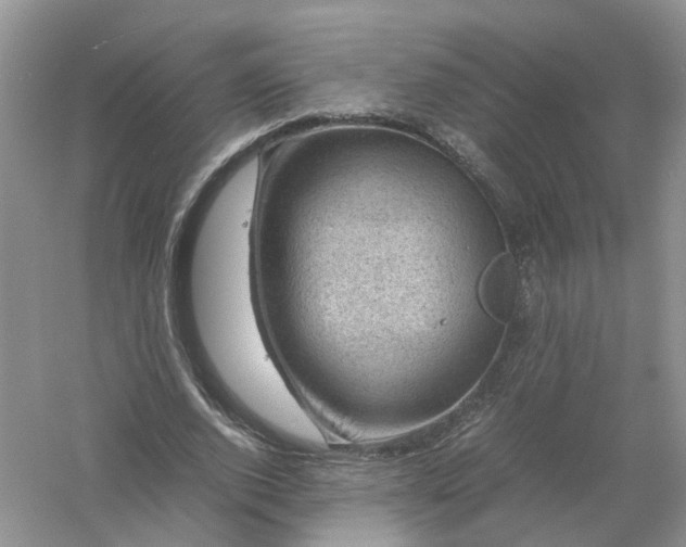 X0000061110728200512022125