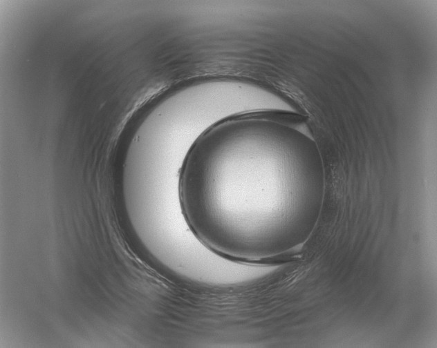 X0000061110731200512022125