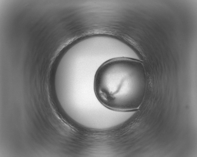 X0000061110732200512022125