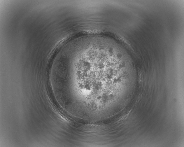 X0000061110733200512022125