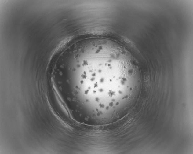 X0000061110734200512022125