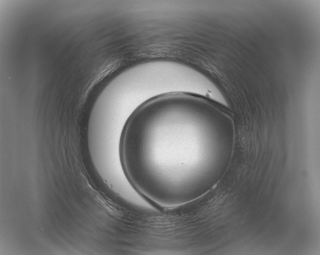 X0000061110735200512022125