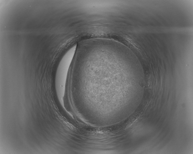 X0000061110737200512022125