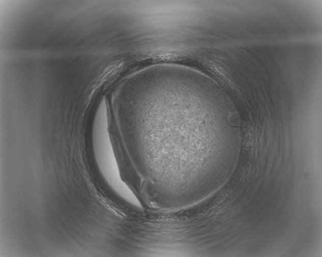 X0000061110738200512022125