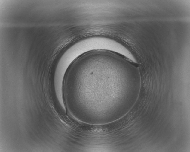 X0000061110740200512022125