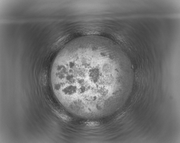 X0000061110741200512022125