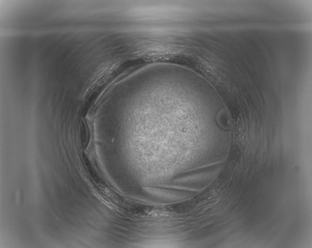 X0000061110742200512022125