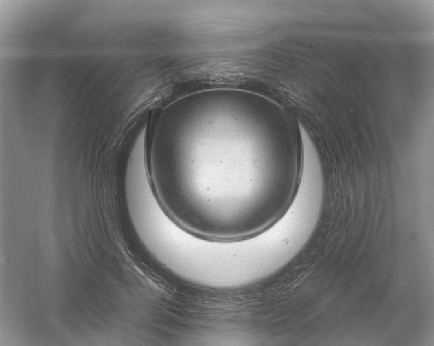 X0000061110744200512022125