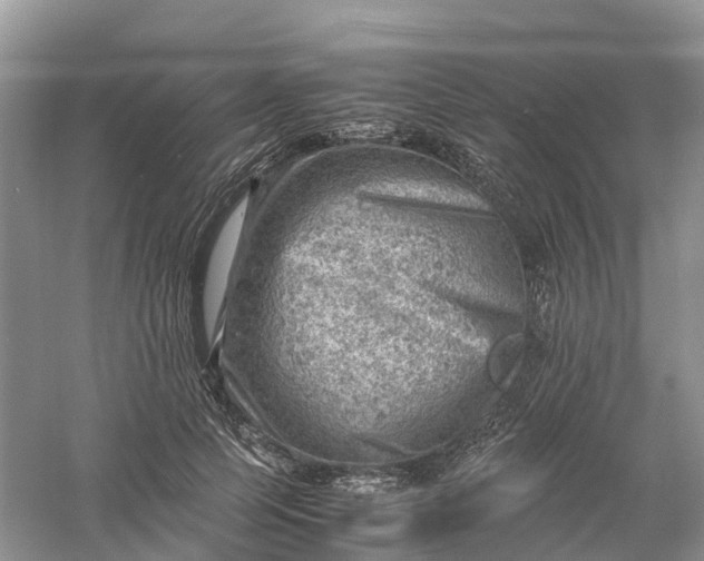 X0000061110745200512022125