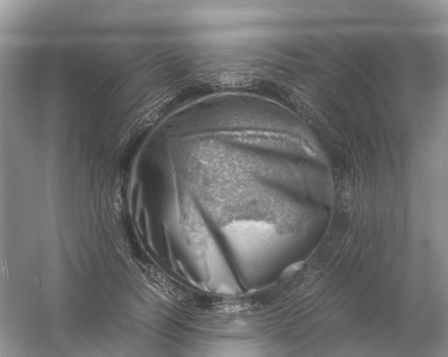 X0000061110746200512022125