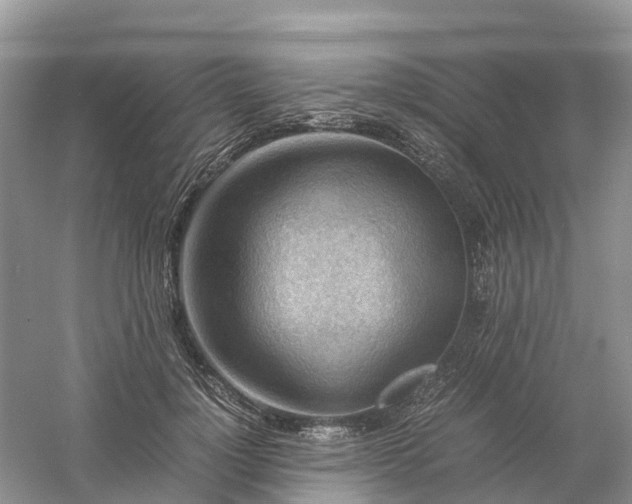 X0000061110748200512022125