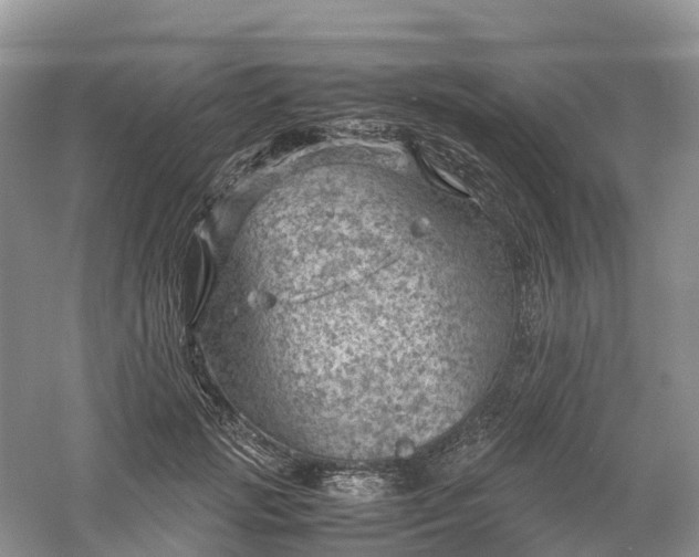 X0000061110749200512022125