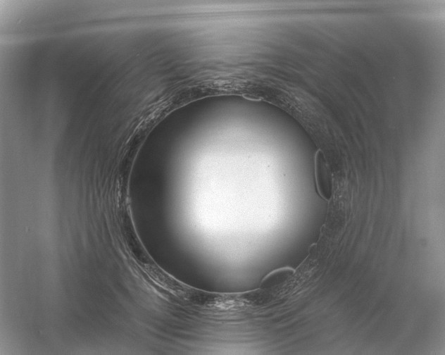 X0000061110752200512022125