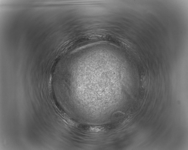 X0000061110753200512022125