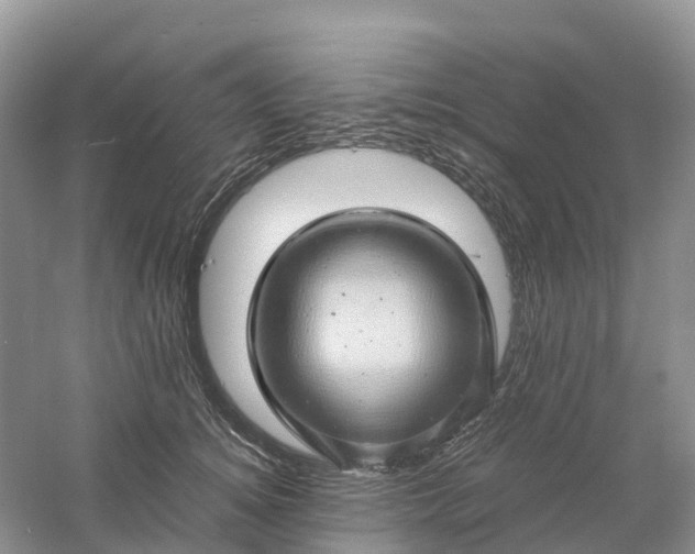 X0000061110756200512022125