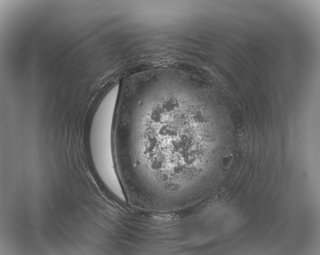 X0000061110757200512022125