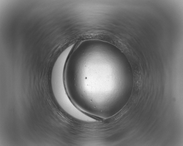 X0000061110758200512022125