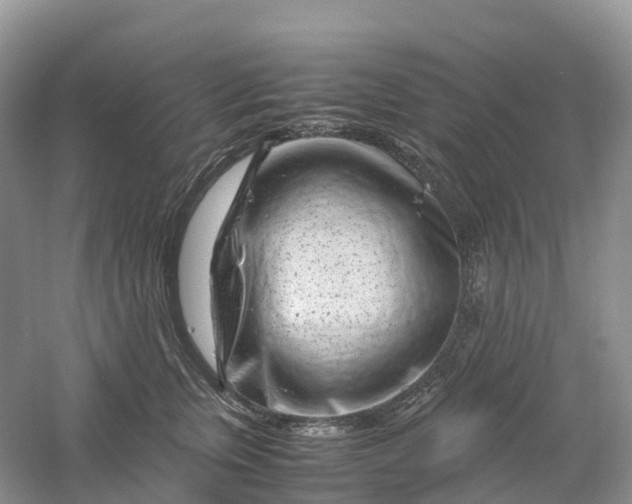 X0000061110759200512022125