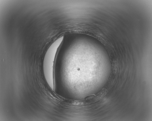 X0000061110760200512022125