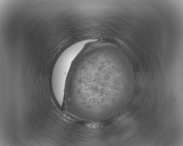 X0000061110761200512022125