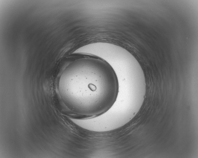 X0000061110762200512022125