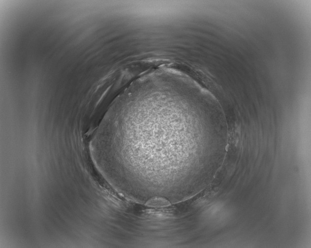 X0000061110763200512022125