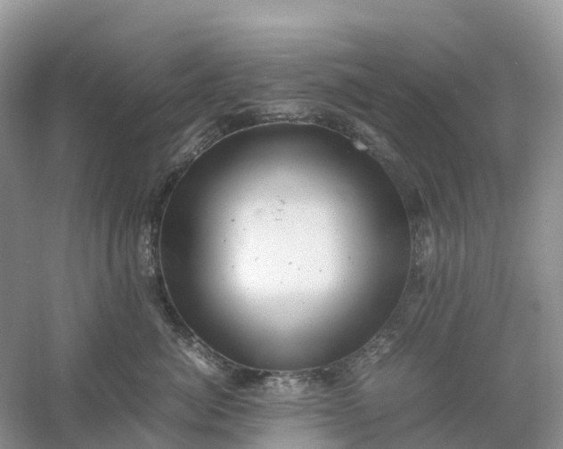 X0000061110764200512022125