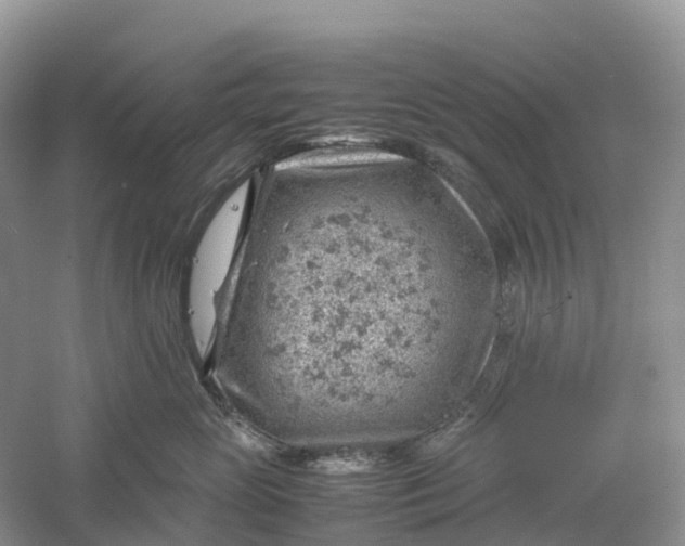 X0000061110765200512022125