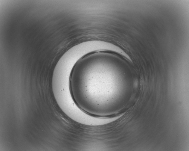 X0000061110766200512022125