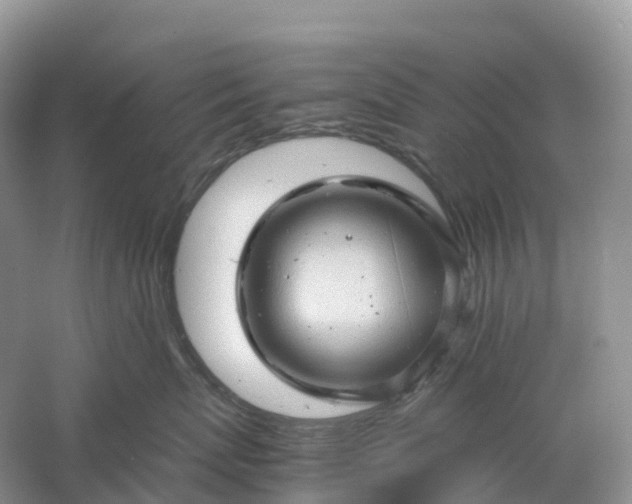 X0000061110767200512022125