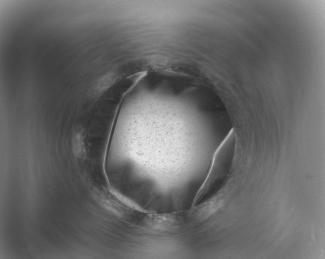 X0000061110768200512022125