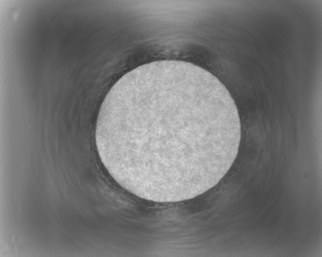 X0000061110769200512022124