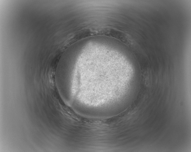 X0000061110770200512022124