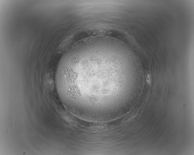 X0000061110771200512022124