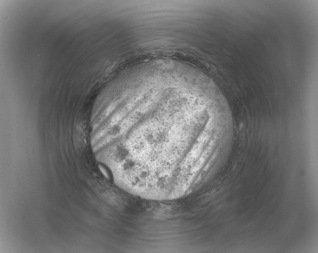 X0000061110772200512022124