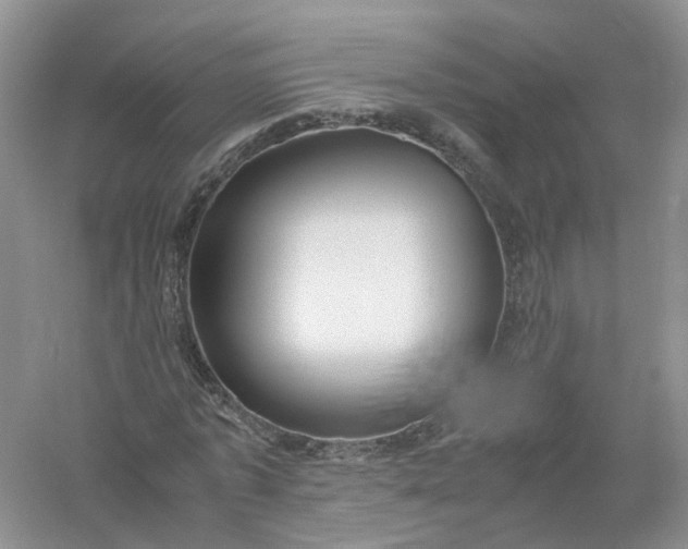 X0000061110773200512022124