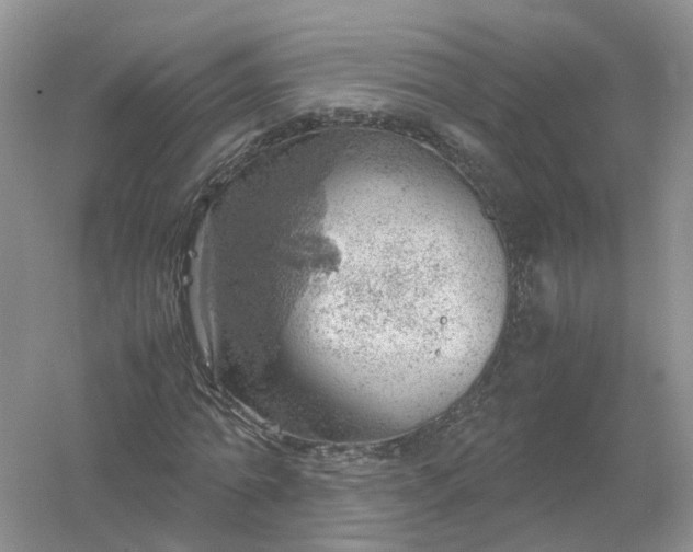 X0000061110774200512022124