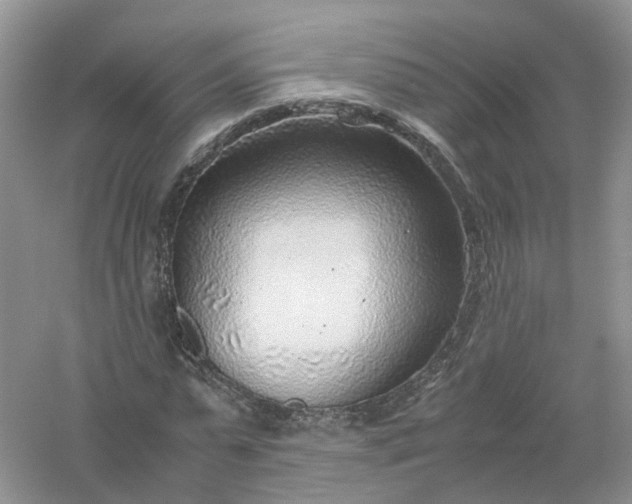 X0000061110775200512022124